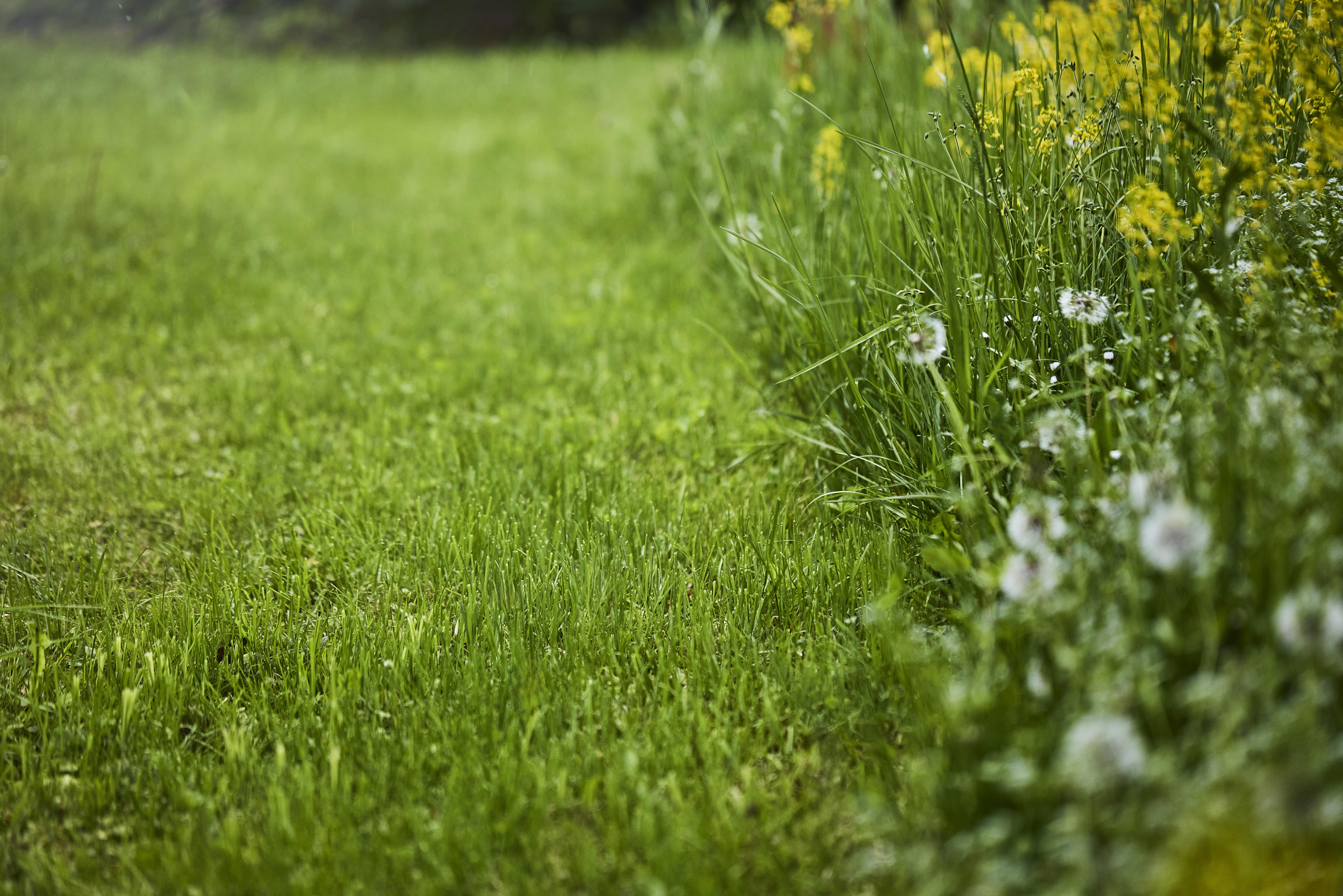 AiConic 3-5-8-12_202309 (20) (1)