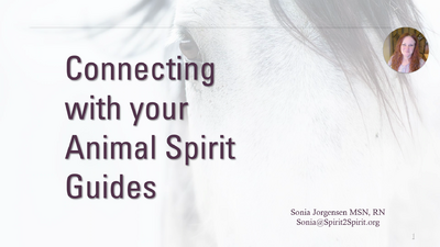 Connecting with Your Animal Spirit Guides and Helper Spirits