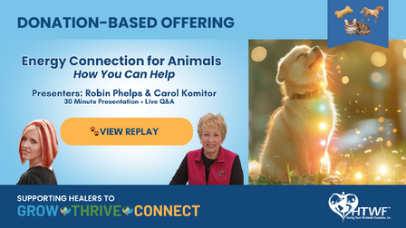 Energy Connection for Animals - How You Can Help REPLAY