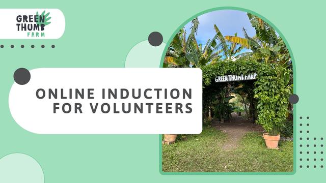 Online Induction for Volunteers