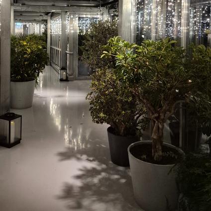 Photo: Workshop at CINARS performing arts market, Montreal, Canada 2024