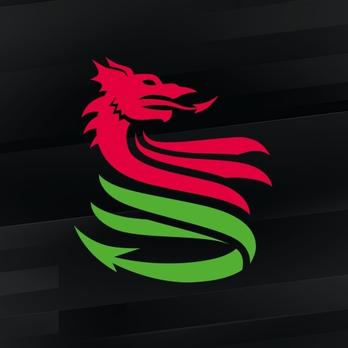 Disability Sport Wales
