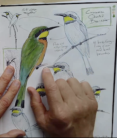 Photo by @purejulia -birds-sketched-in-a-book-next-to-a-pen-Unsplash