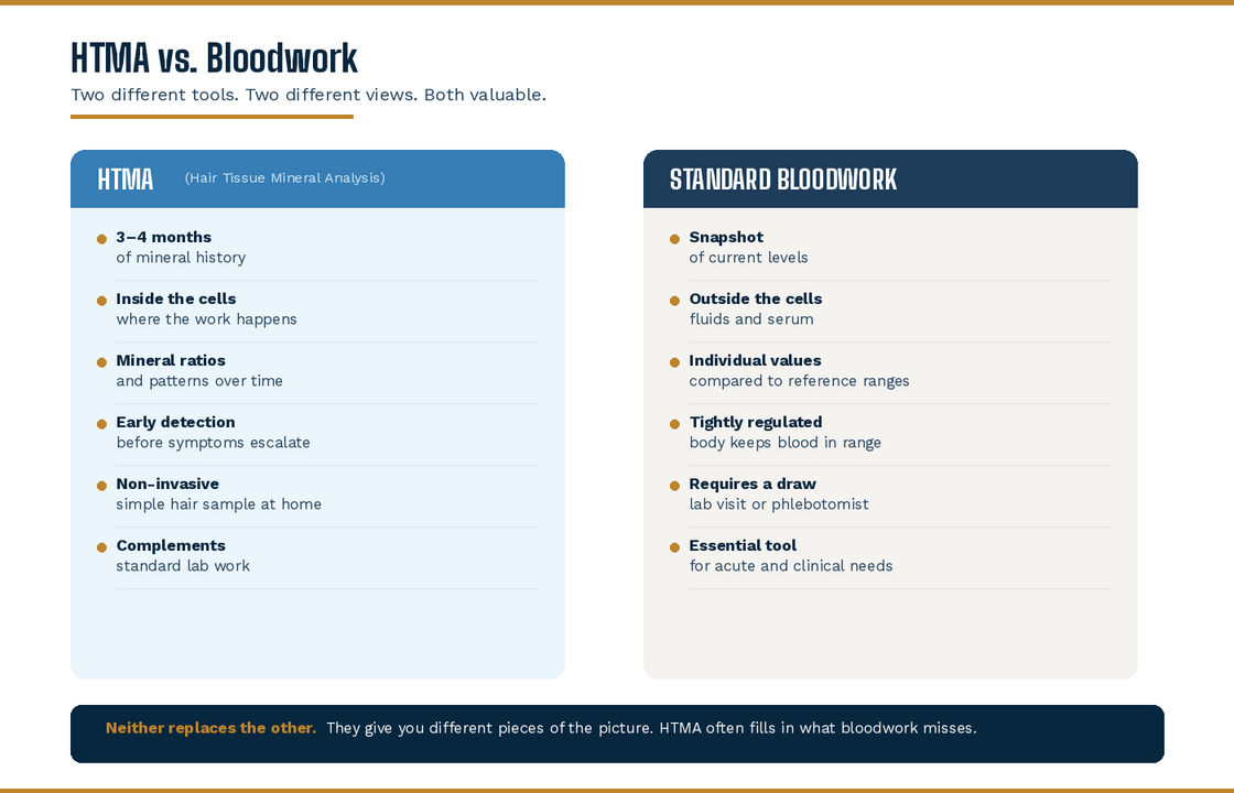 htma-vs-bloodwork-comparison