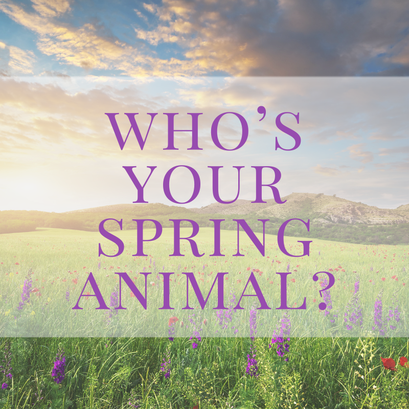 2026 Spring-Whos Your Spring Animals