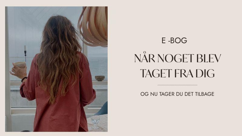 COVER E BOG  NÅR NOGET BLEV TAGET FRA DIG 