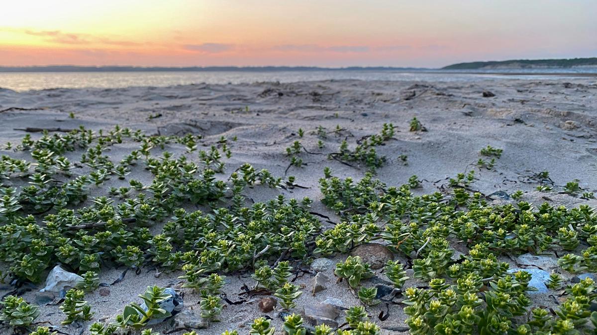 photo-1685875022955-2299184dc26b-edited