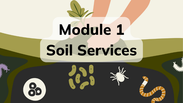 MOOC University - Thumbnails (1)