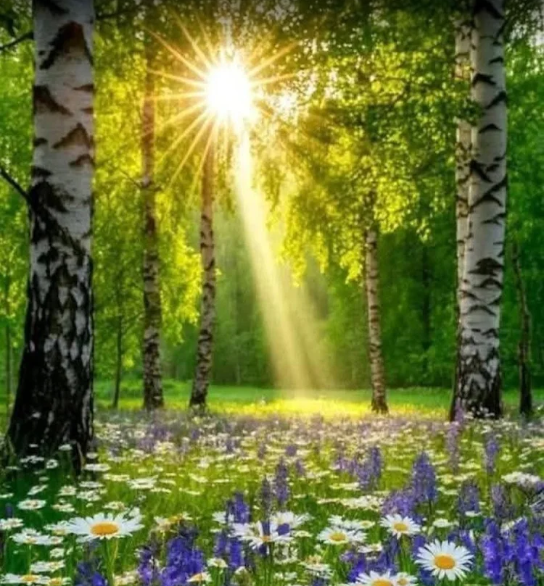 Skærmbillede 2026-03-04 102449