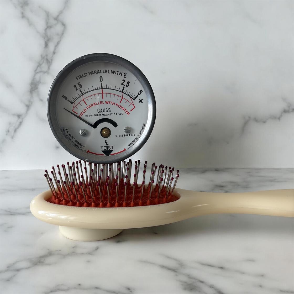 North to scalp brush