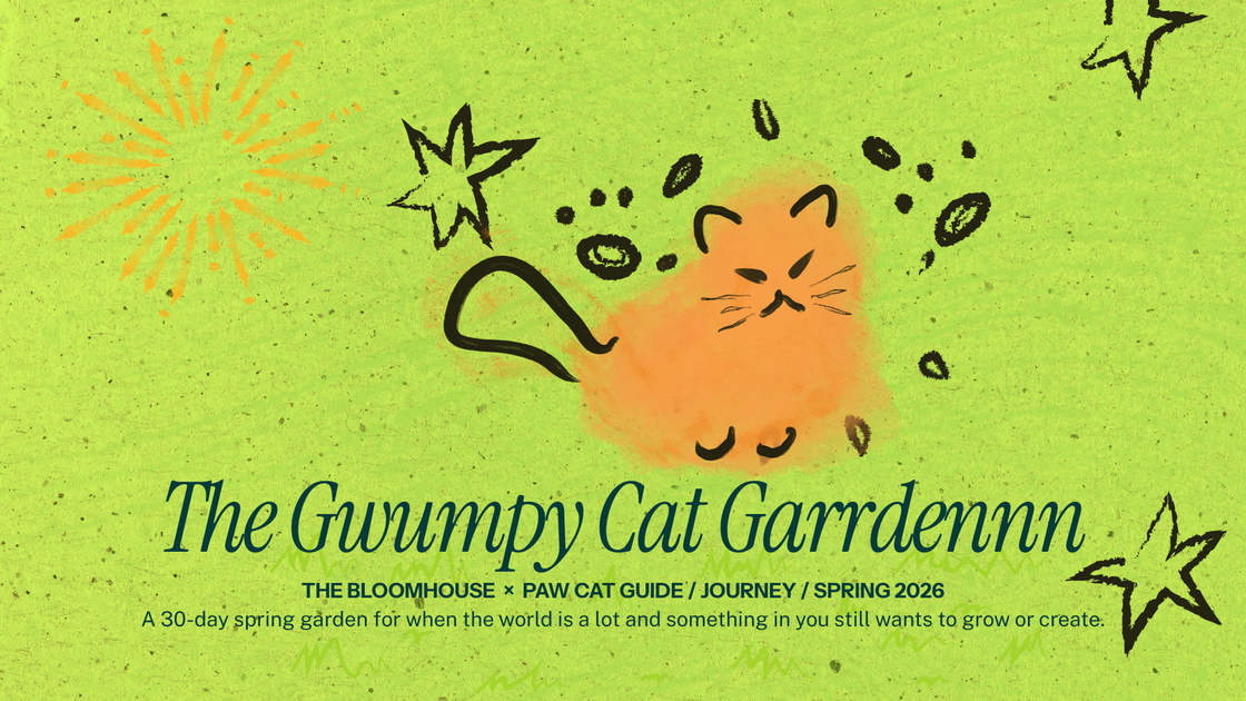 The Gwumpy Cat Garden - The Bloomhouse Landscape 2