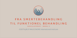 3. MODUL 2 - Fra smerte til funktionelle lidelser 2026