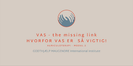 7. MODUL 2 - VAS, hvorfor er den så vigtig, the missing link 2026