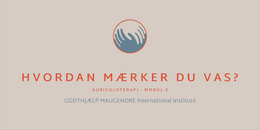 9. MODUL 2 - VAS, hvordan mærker du VAS? 2026