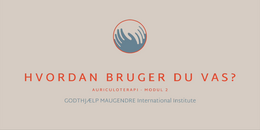 10. MODUL 2 - VAS, hvordan bruger du VAS? 2026