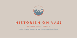 11. MODUL 2 - VAS - historien 2026