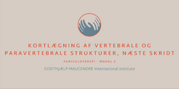 14. MODUL 2 - KORTLÆGNING AF – vertebrale og paravertebrale strukturer 2026