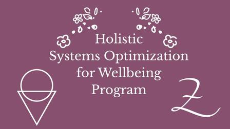 Systems Opt Program (800 x 450 px)