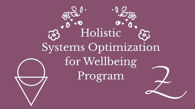 Systems Opt Program (800 x 450 px)