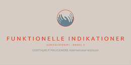 4. MODUL 2 - Funktionelle Indikationer 2026