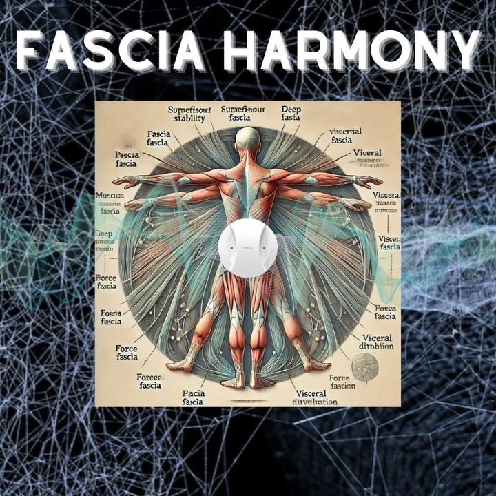 Quantum Abundance (65)