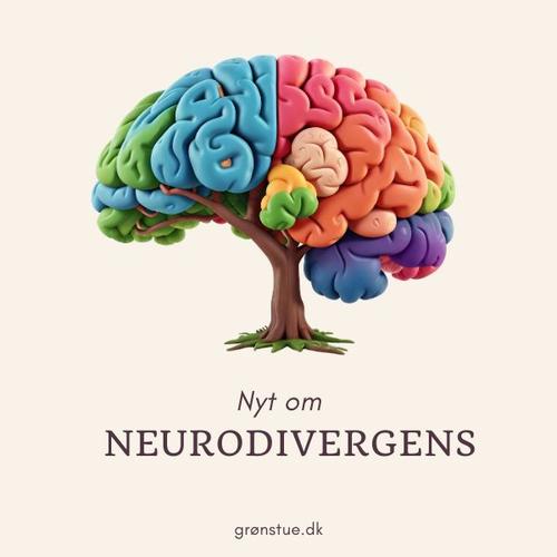 nyt om neurodivergens
