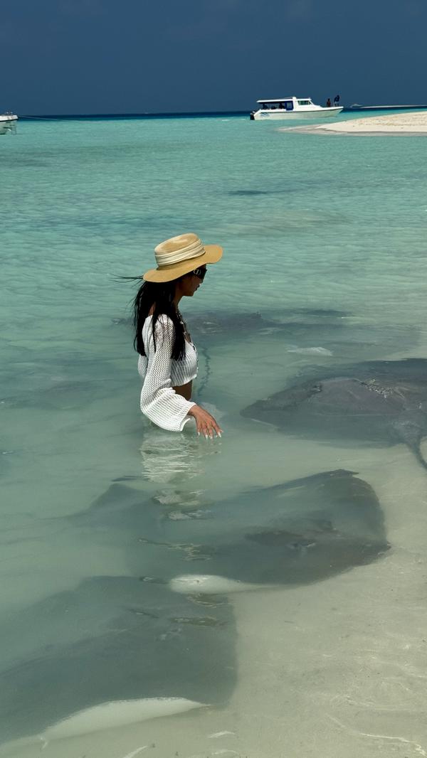 Maldives stingray2