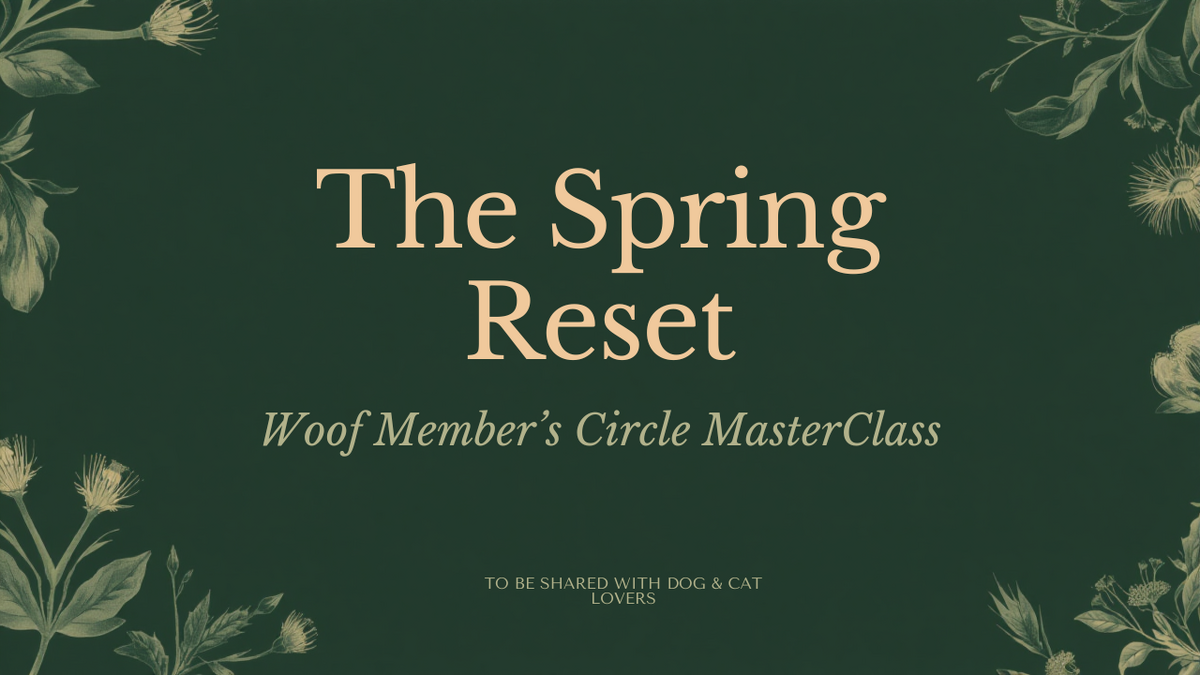 Elegant Masterclass Course Card Design (1)