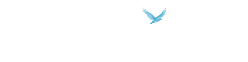 Live Above Coaching Logo White