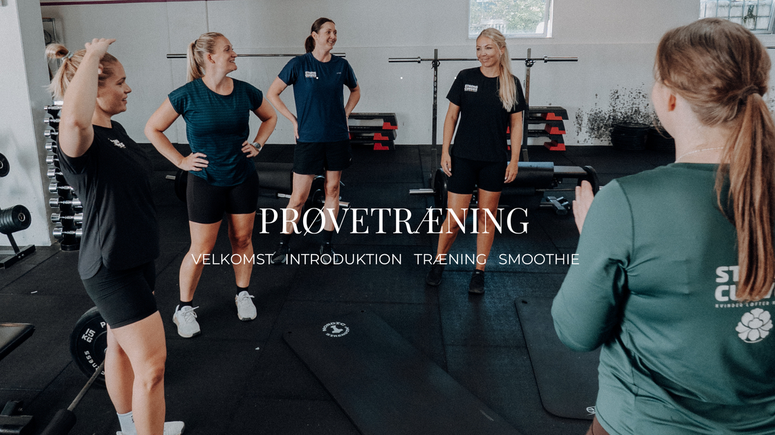 Prøvetræning (Præsentation)