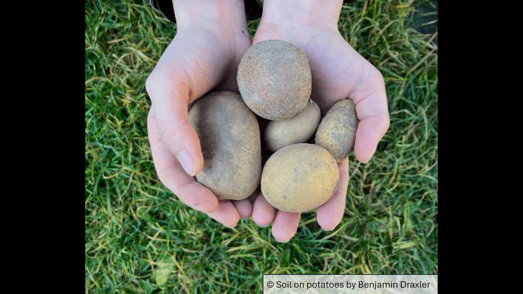 9_GIF_Soils and daily life