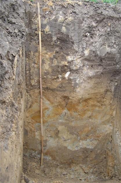 7_soil pit 2