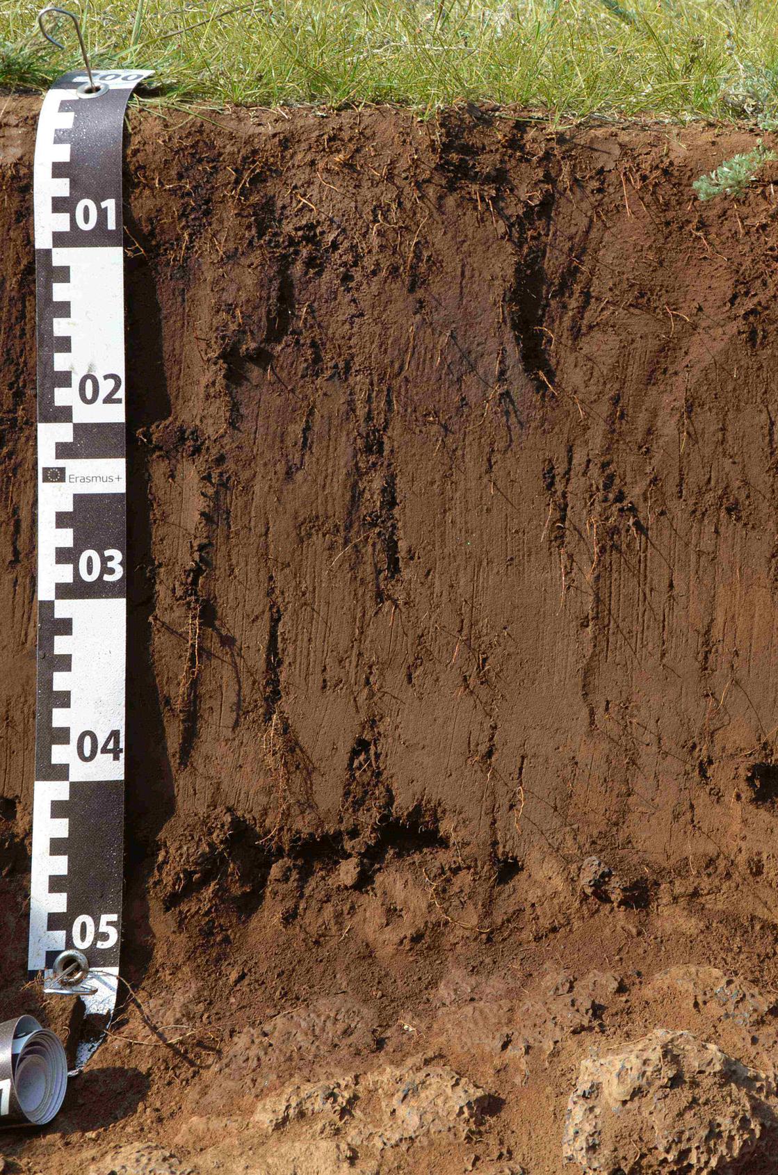 6_soil pit 1