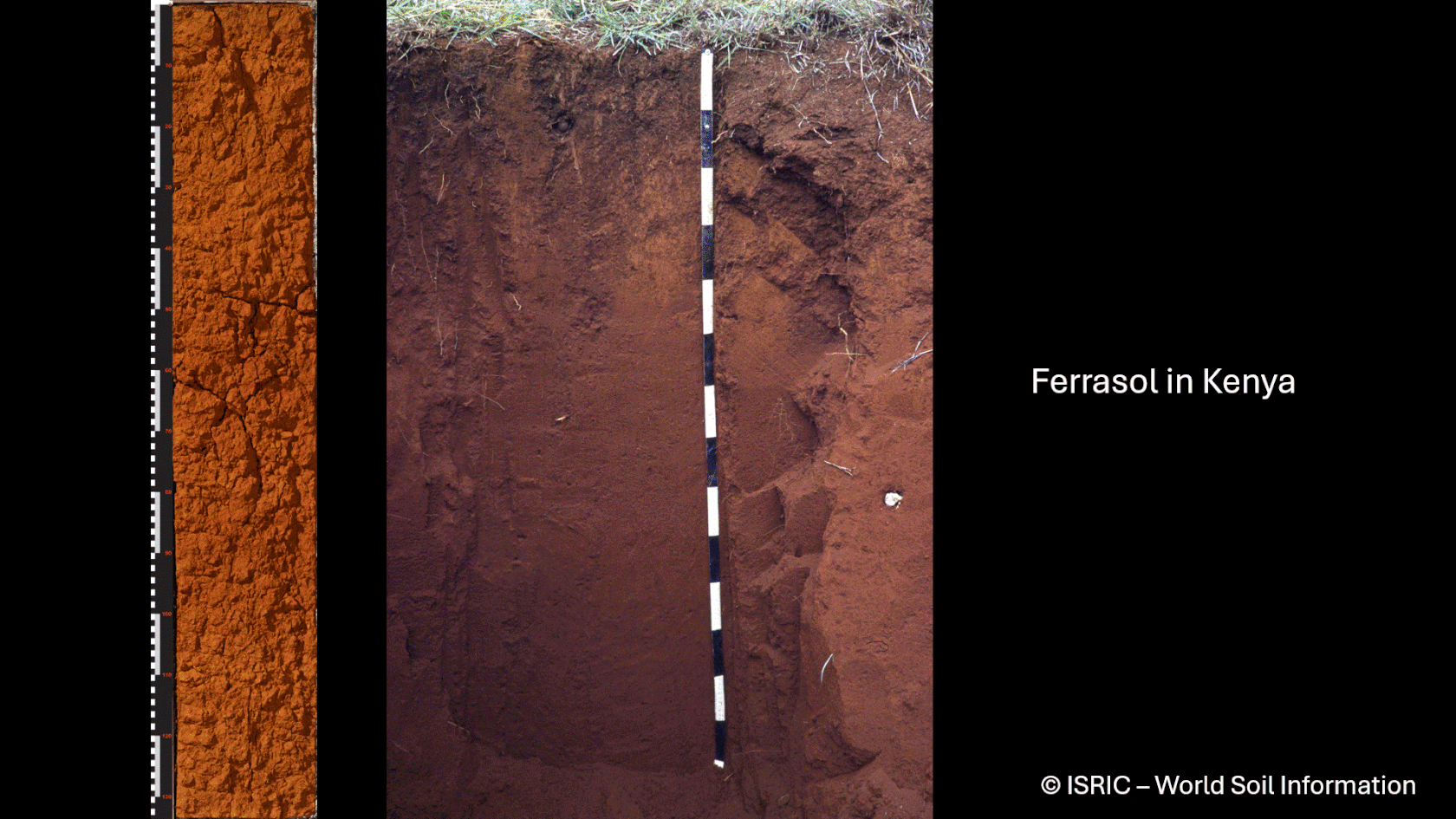 4_GIF_soil monoliths and soil pits