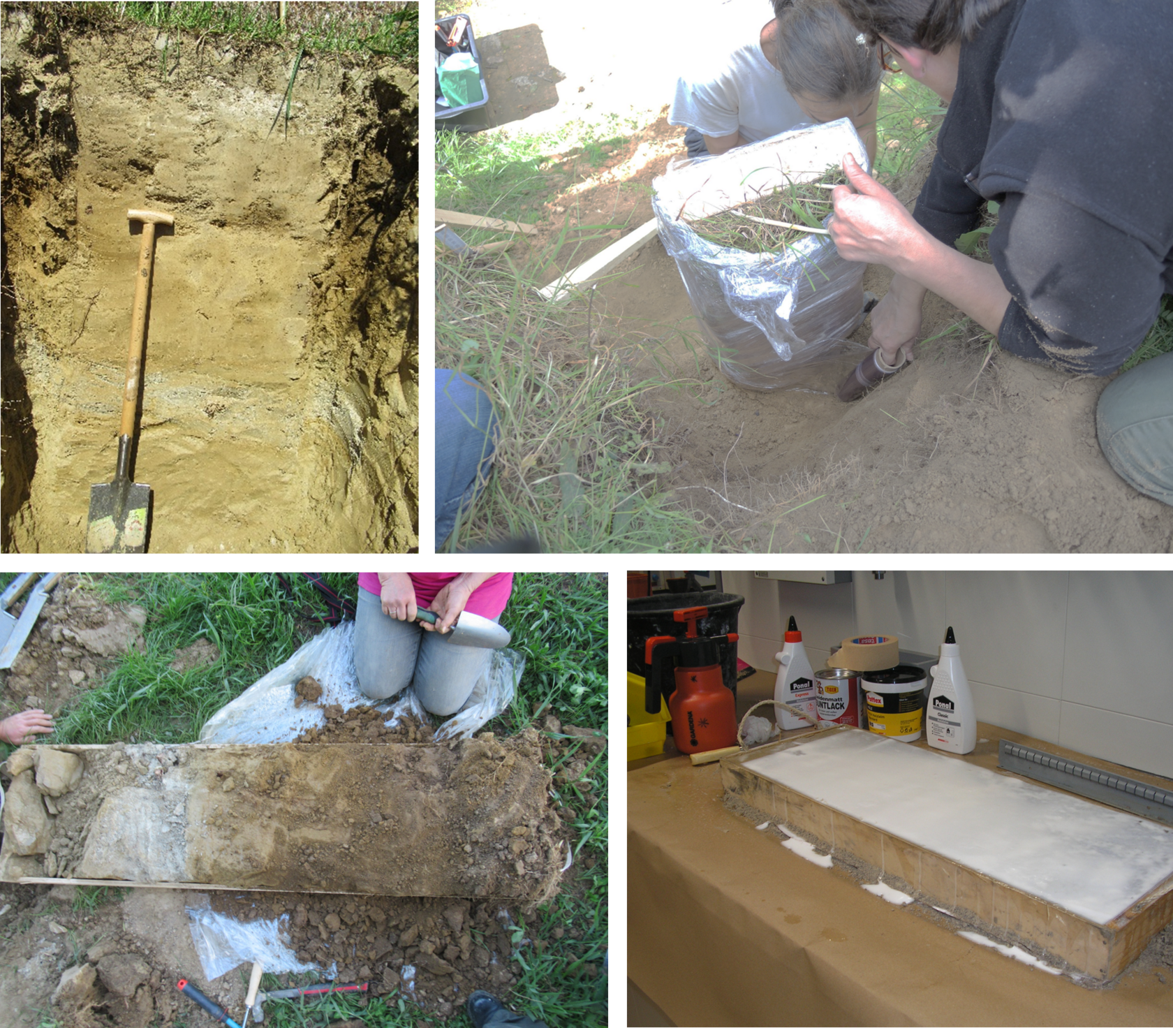 3_How to prepare a soil monolith