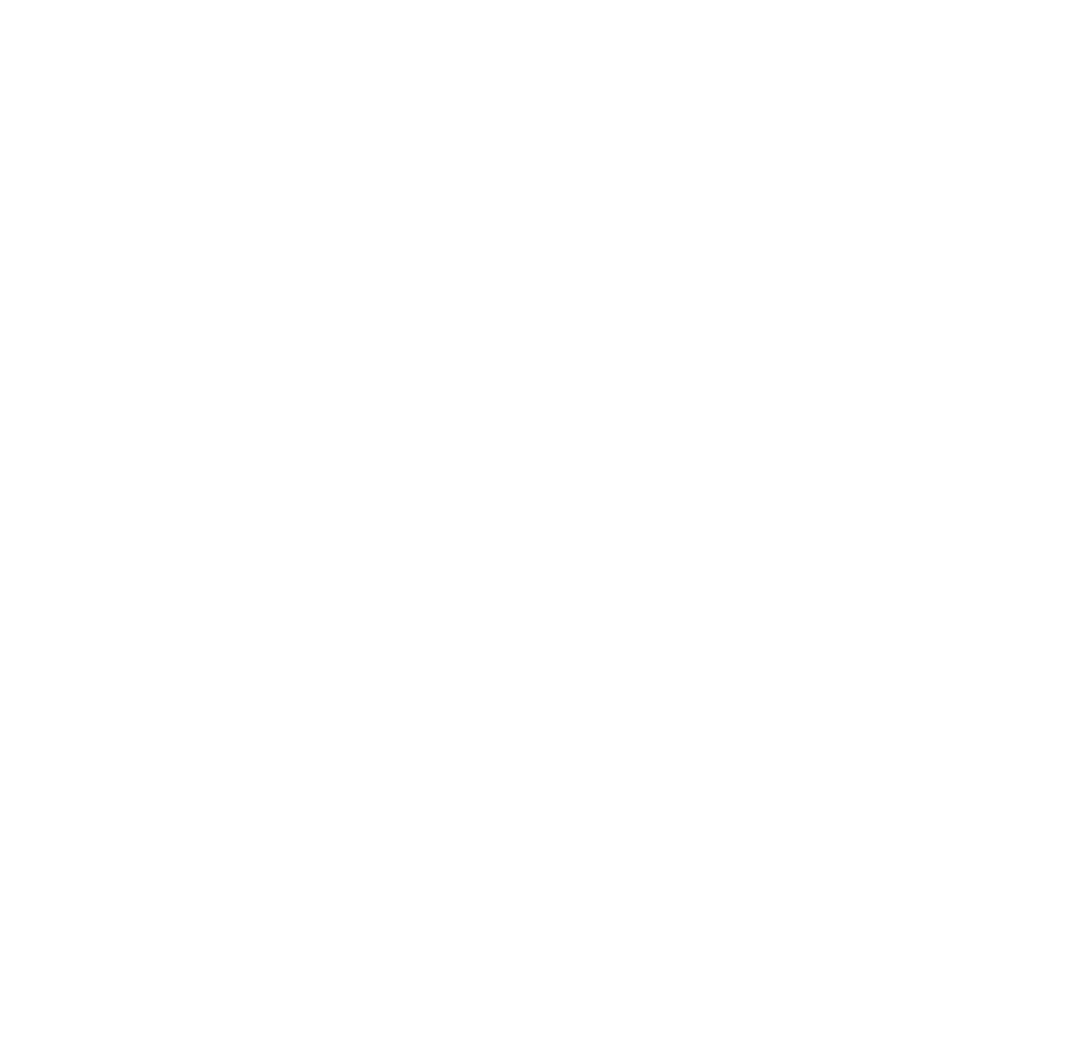 Tourism Management Institute