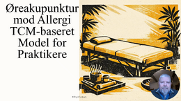 03 video øreakupunktur slides