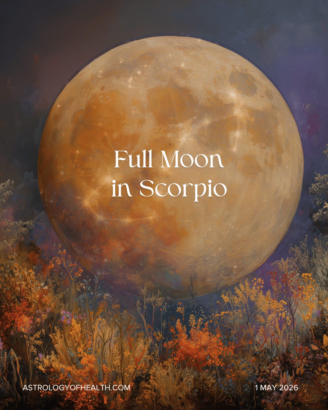 AOH FullNew Moon Social (22)