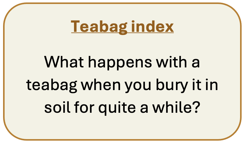 Teabag