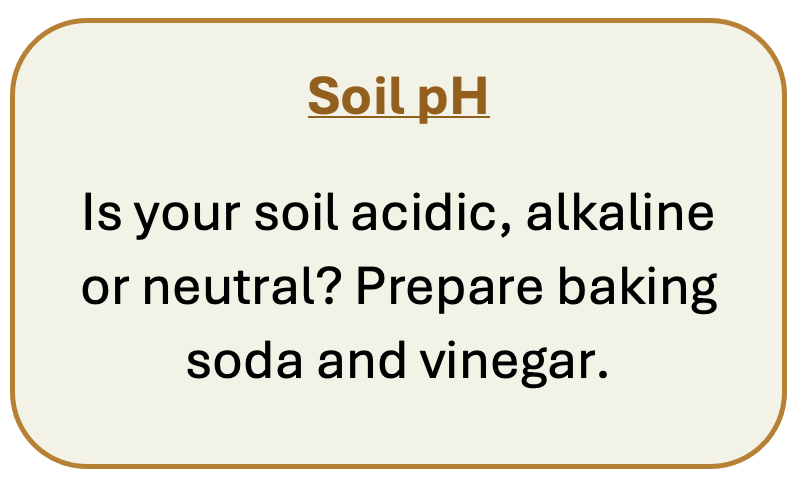 Soil
