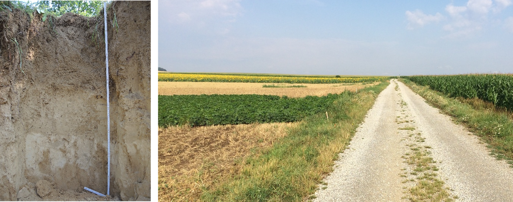 9_soil profile and landscape in Austria