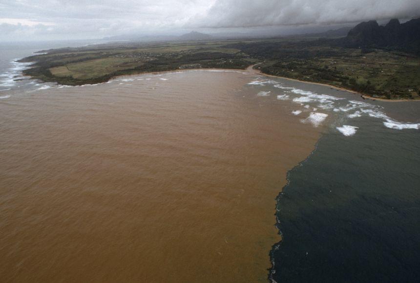 Photo 12 anahola-bay Photograph by Chris Johns, National geographic