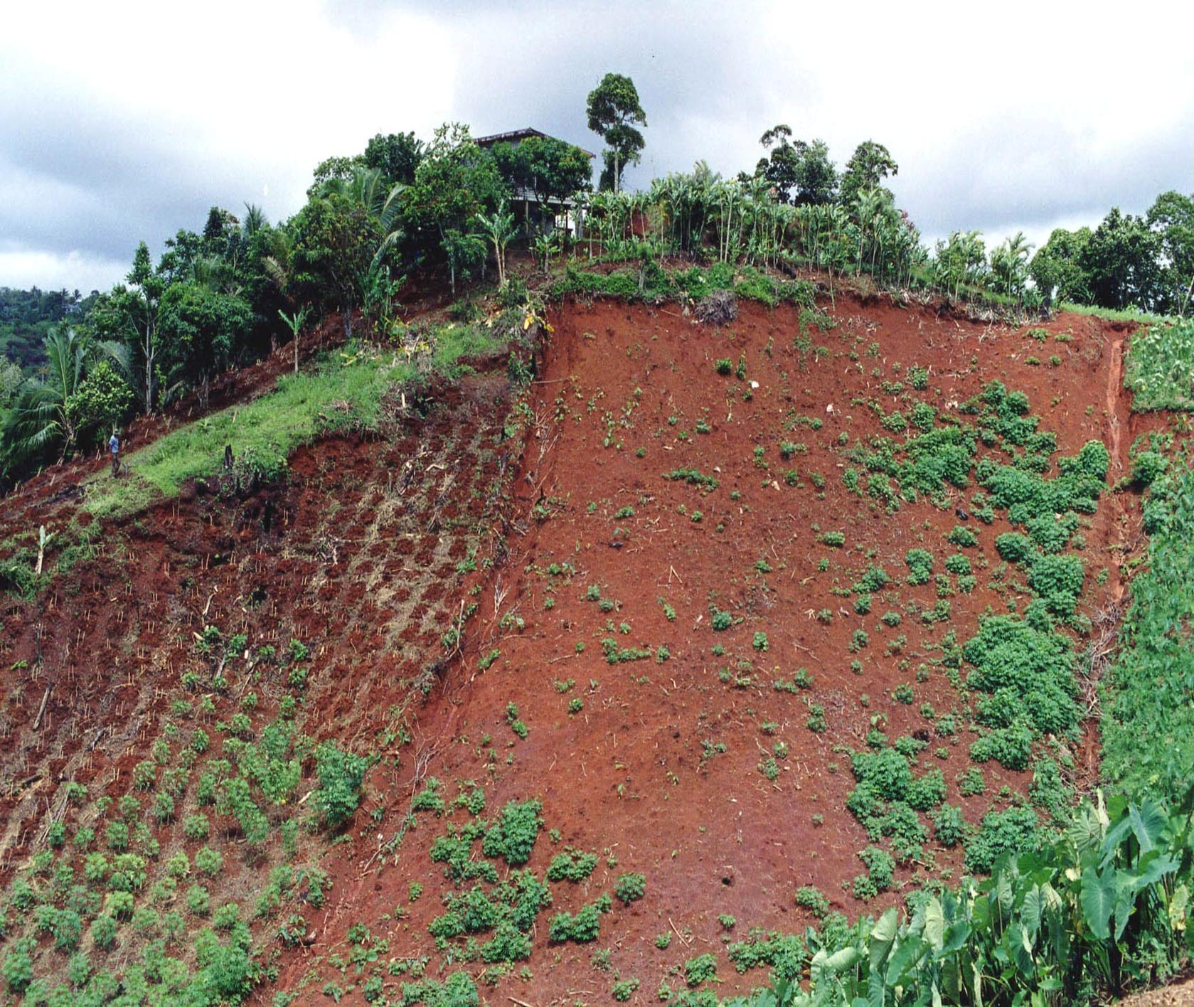 Photo 18 steep slope