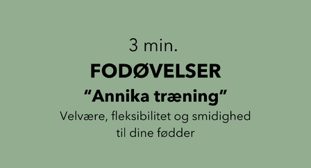 3 min fodøvelser annika