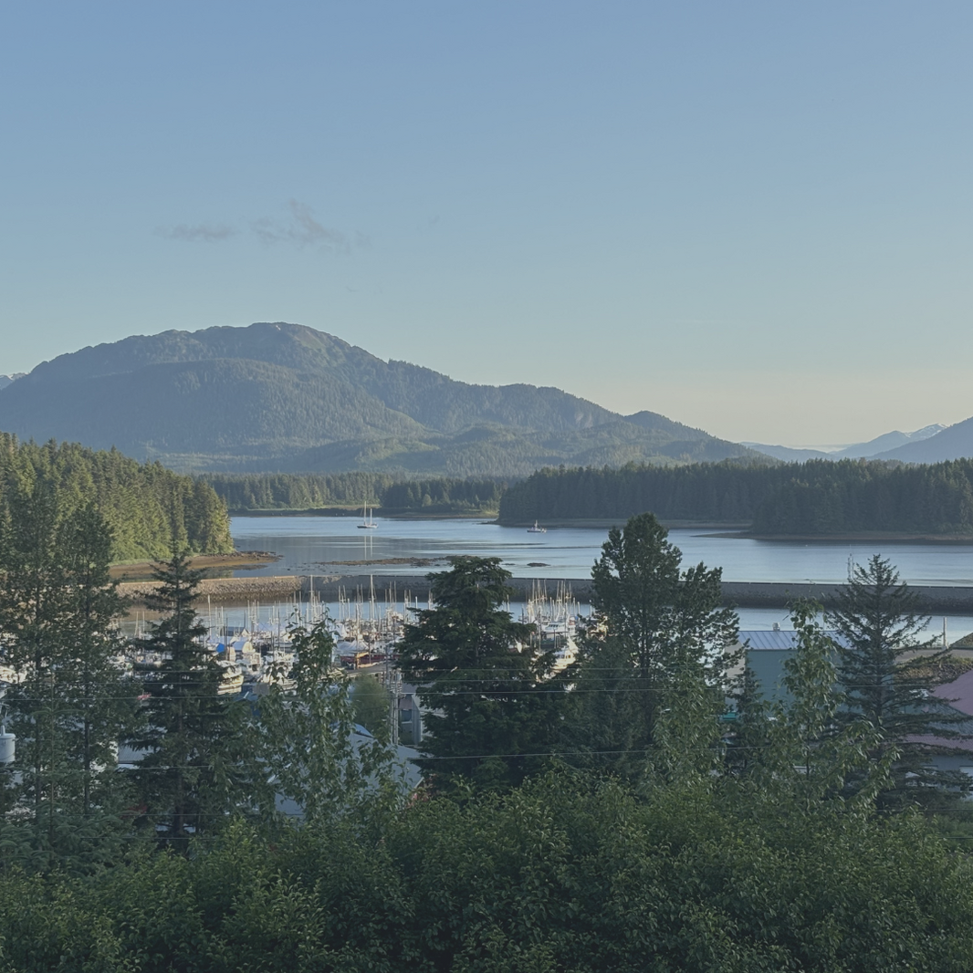 Trees Holland - Retreat 2026