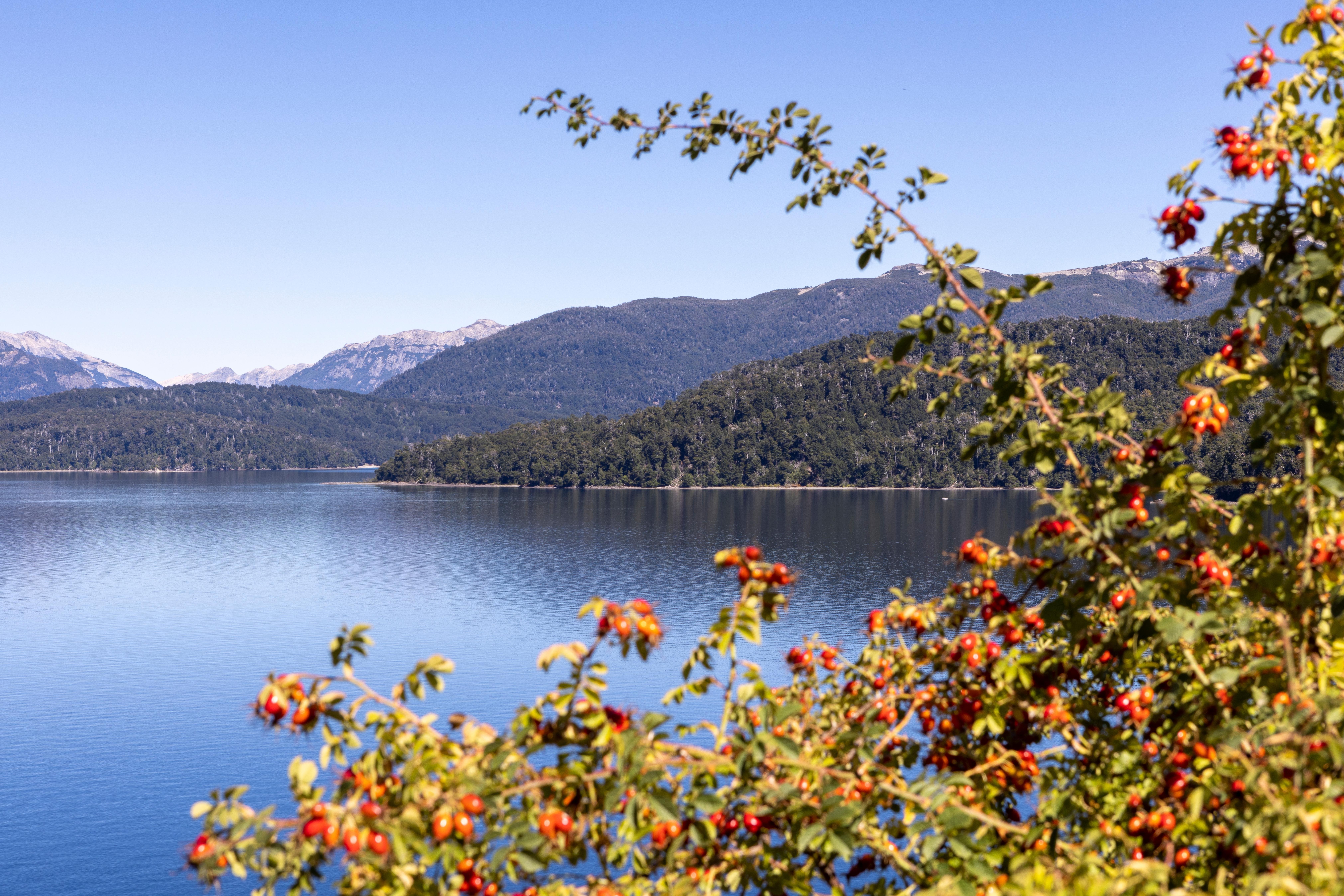 Byben Barilocche Argentina 1