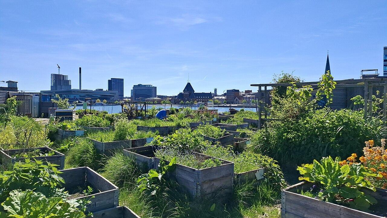 Urban community garden