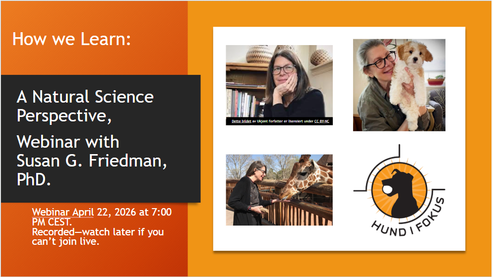 Skjermbilde 2026-03-23 131140