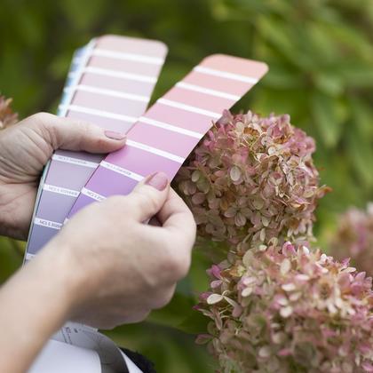 farvesætte indretningen med naturens farver