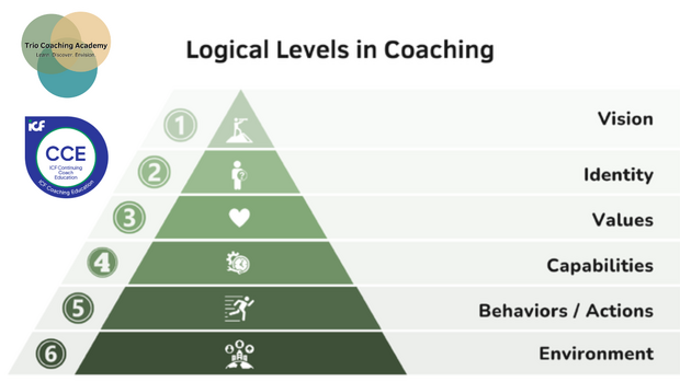 Untitled design (31)